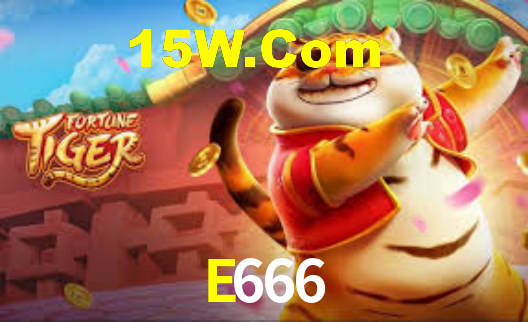 E666 - Installation Guide