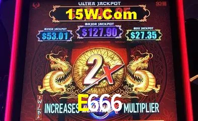 E666 - Support