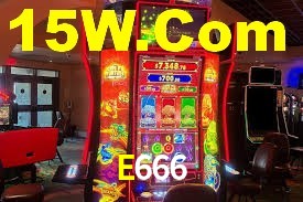 Premium Interface E666